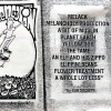 demos-melack-inner_whole